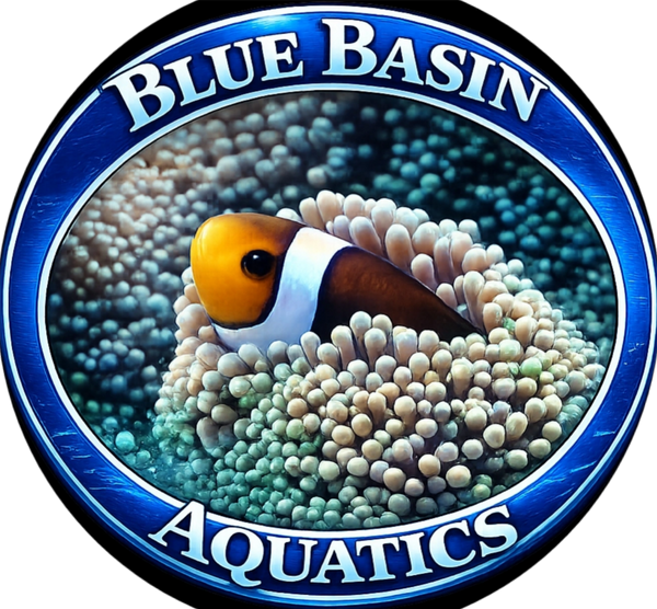 Blue Basin Aquatics 